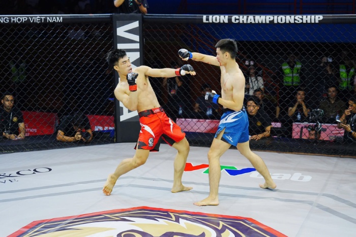 Trần Nhật Long 