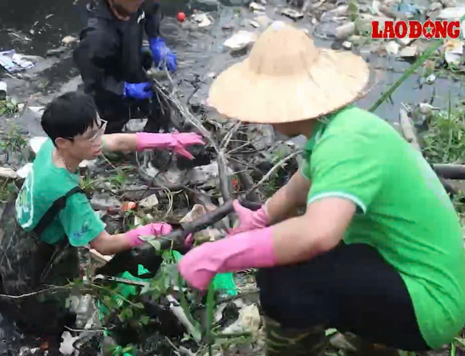 Hanoi youth brave the sun to clean polluted canals and ditches. Photo: cut from clip