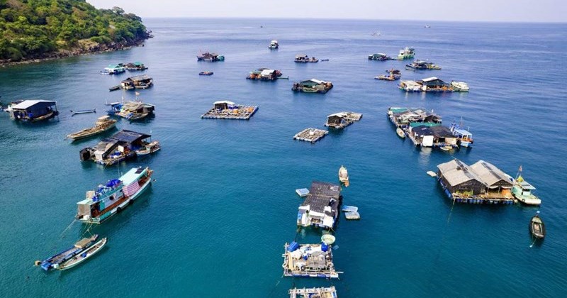 Hưởng ứng Ngày Môi trường Thế giới bằng hành động thiết thực