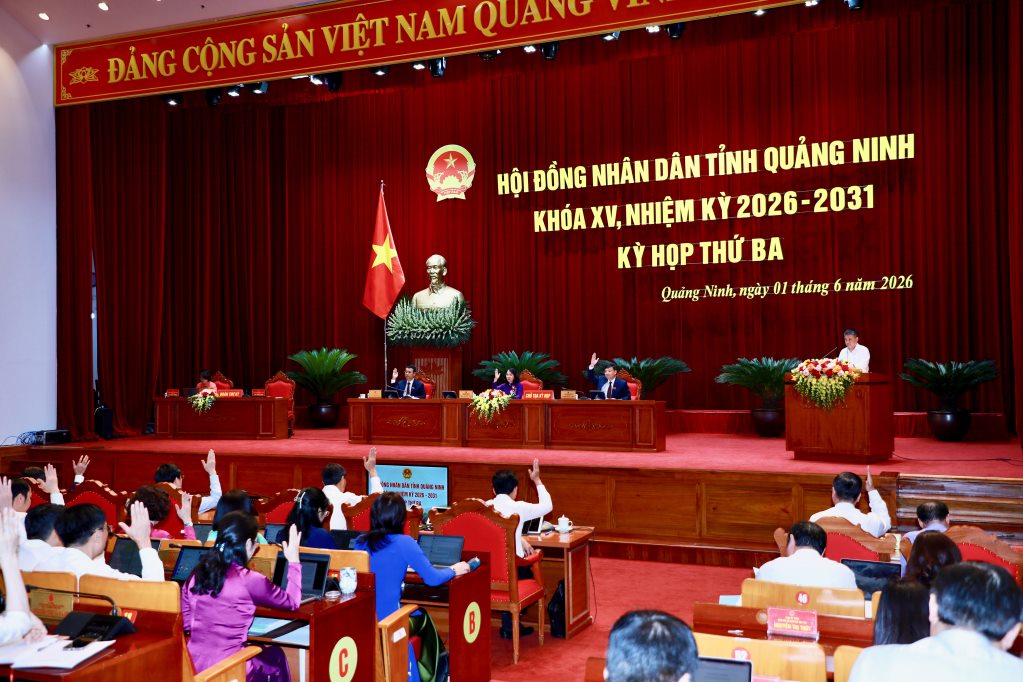 Delegates of the People's Council of Quang Ninh province vote to pass resolutions submitted at the morning session of June 1, 2026. Photo: Quang Ninh Provincial Newspaper, Radio and Television
