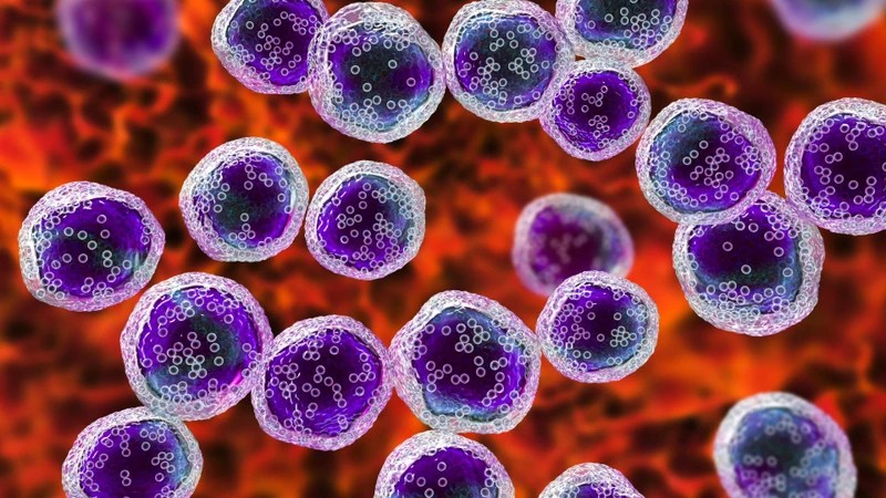 Thought to have dermatitis, rare cancer discovered after 2 years. Photo: BVCC