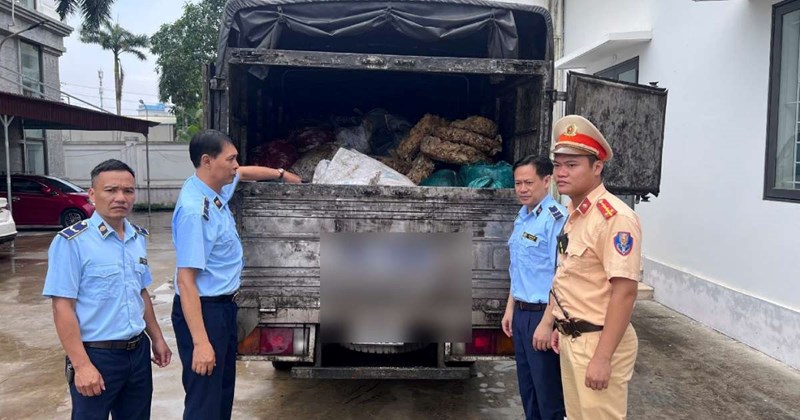 Tiêu hủy hơn 2 tấn rong biển không rõ nguồn gốc tại Hưng Yên
