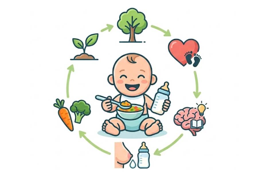 Early nutrition and long-term impact on children's development. Graphics: Thien Nhan