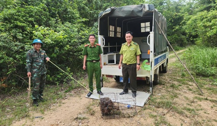 Functional agencies re-release a red-faced monkey to its natural habitat in the Ea So Nature Reserve. Photo: Police provided