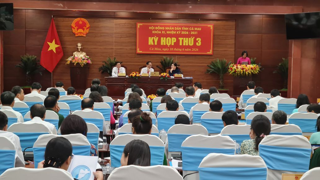Ca Mau Provincial People's Council approves Resolution supporting the renovation of martyrs' graves. Photo: Nhat Ho.