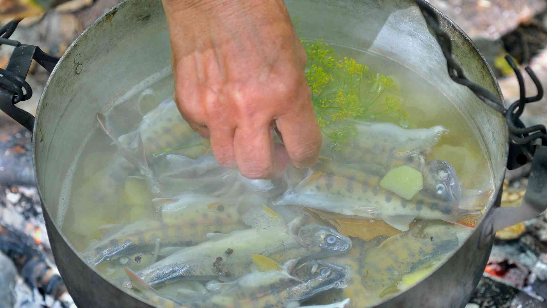 魚の生臭さを抑え、魚の身をより引き締めるために、冷水ではなく沸騰したお湯に魚を入れるべきです。グラフィック写真:フオン・ソン