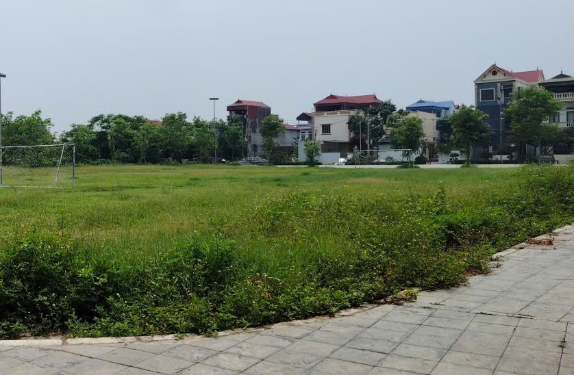 Land auctions are of interest to many people. Photo: Xuyen Dong