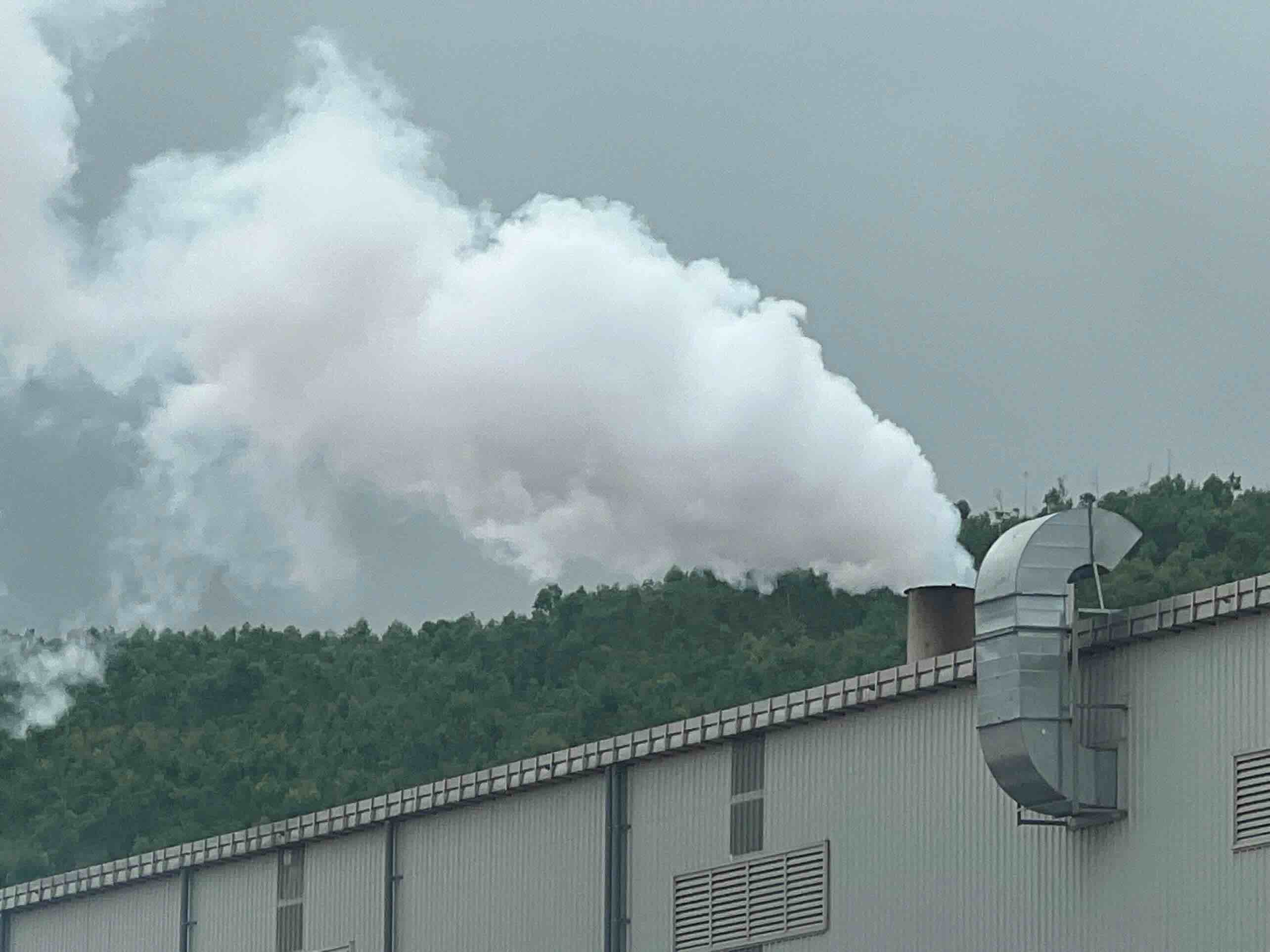 Smoke emitted from the Quang Binh energy pellet factory is reflected as causing pollution. Photo: Van Son