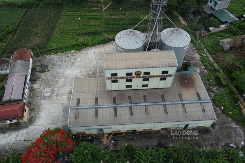 Cao Bang aims to improve the quality of the collective economy. Photo: Tan Van