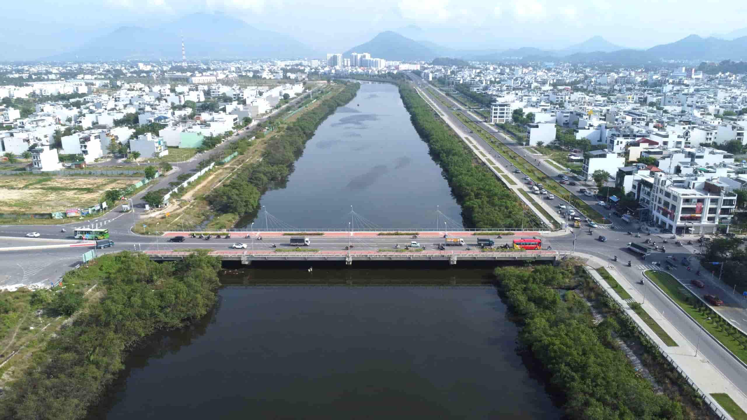 The investor plans to spend nearly 600 million VND to cut down 2 long-standing mangrove trees growing along the Quan Truong River. Photo: Huu Long