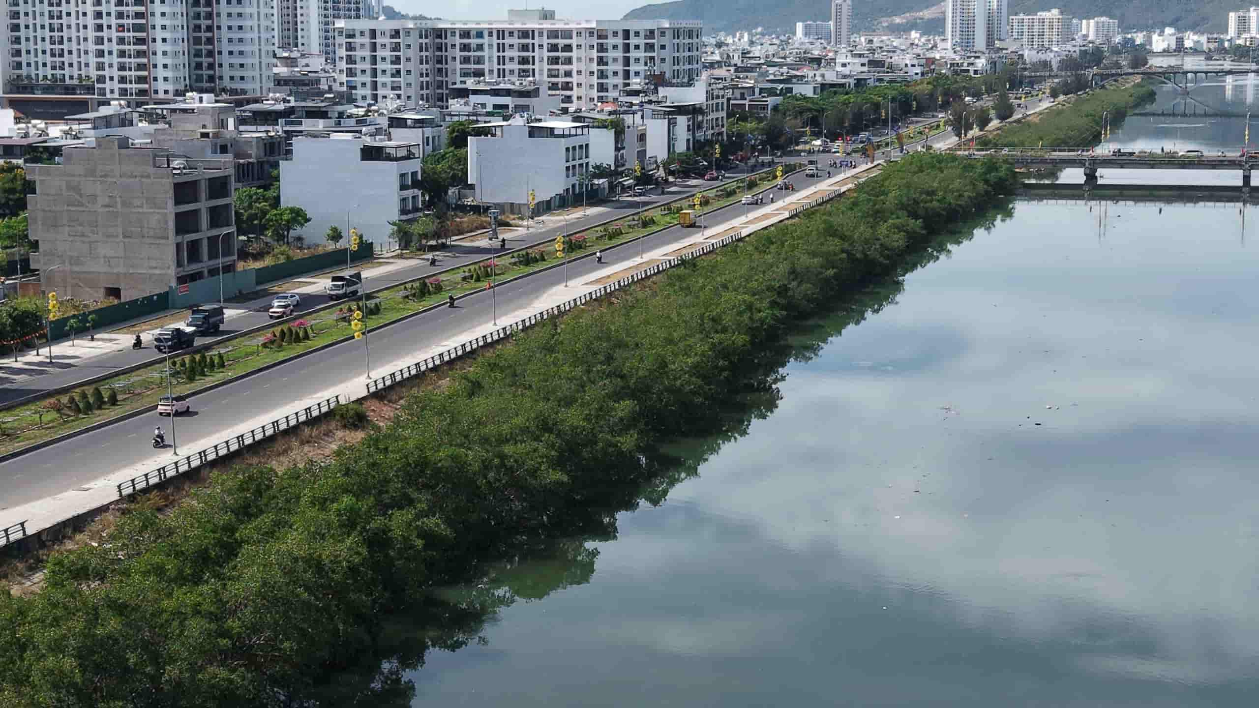 Người dân mong muốn giữ lại hàng đước nhiều năm tuổi. Ảnh: Hữu Long