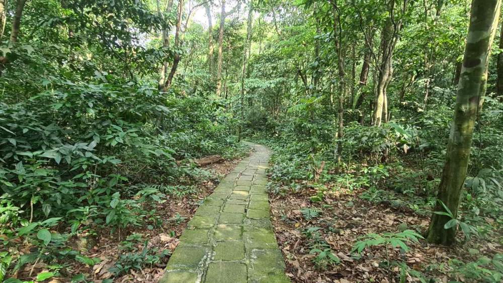 Transferring Ba Vi National Park to Hanoi City People's Committee for management from June 11. Photo: Phuong Anh