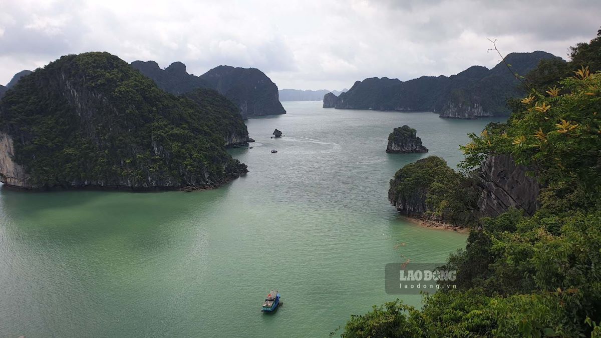 Ngắm vịnh Hạ Long từ trên đỉnh núi đảo Soi Sim. Ảnh: Nguyễn Hùng 
