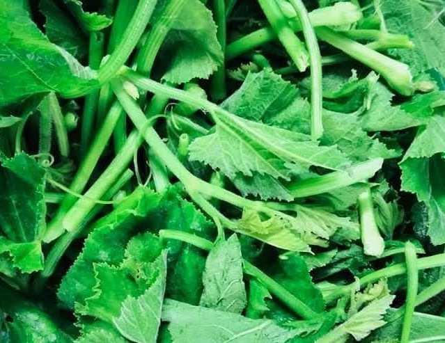 This is a vegetable that housewives can take advantage of to supplement the family's diet to nourish blood and cool skin. Photo: Kieu Vu