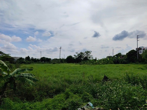 Many people wonder about converting agricultural land to residential land. Photo: Xuyen Dong