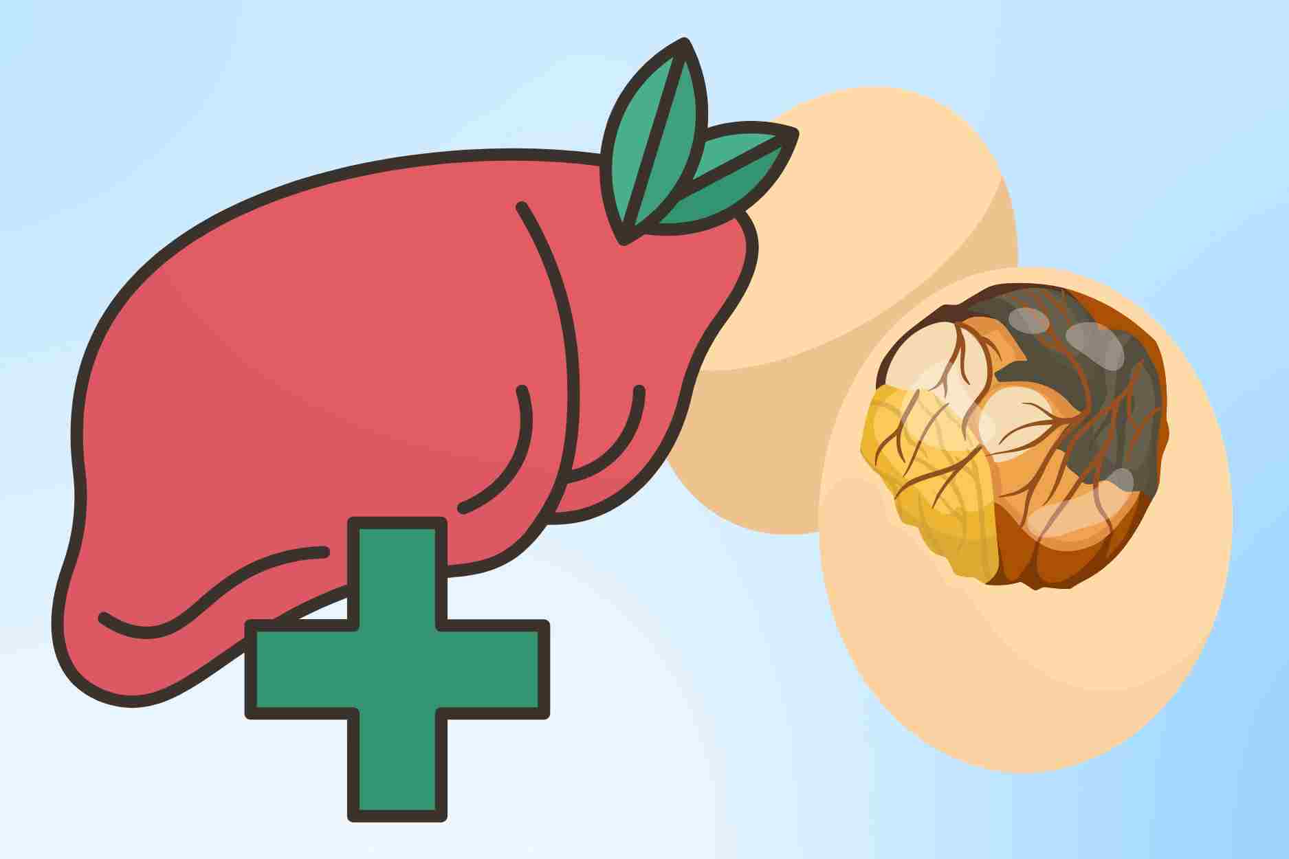 2 reasons why people with high liver enzymes should limit eating balut