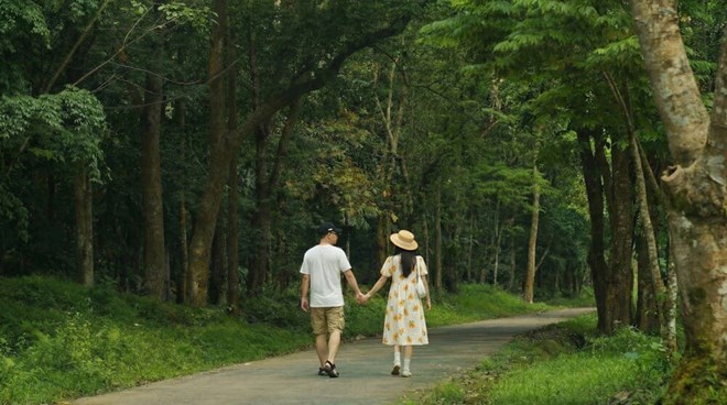 Exploring Cuc Phuong National Park is one of the activities that couples can experience during the day. Photo: Tuan Dat