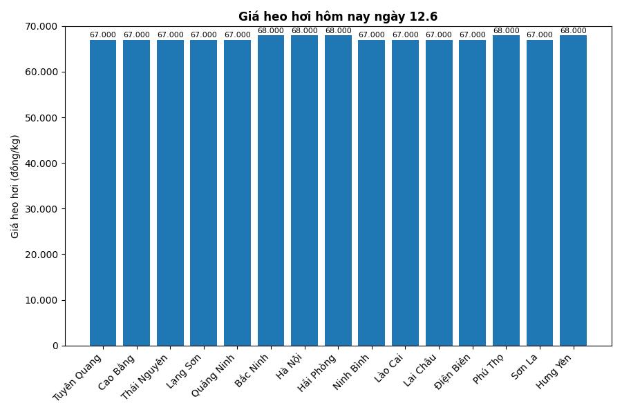 Giá heo hơi hôm nay 12.6 tại khu vực miền Bắc. Đồ họa: Thùy Linh