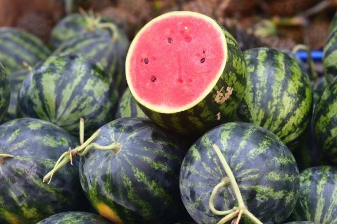 Sweet and cool fruit that helps improve blood circulation and protect the heart