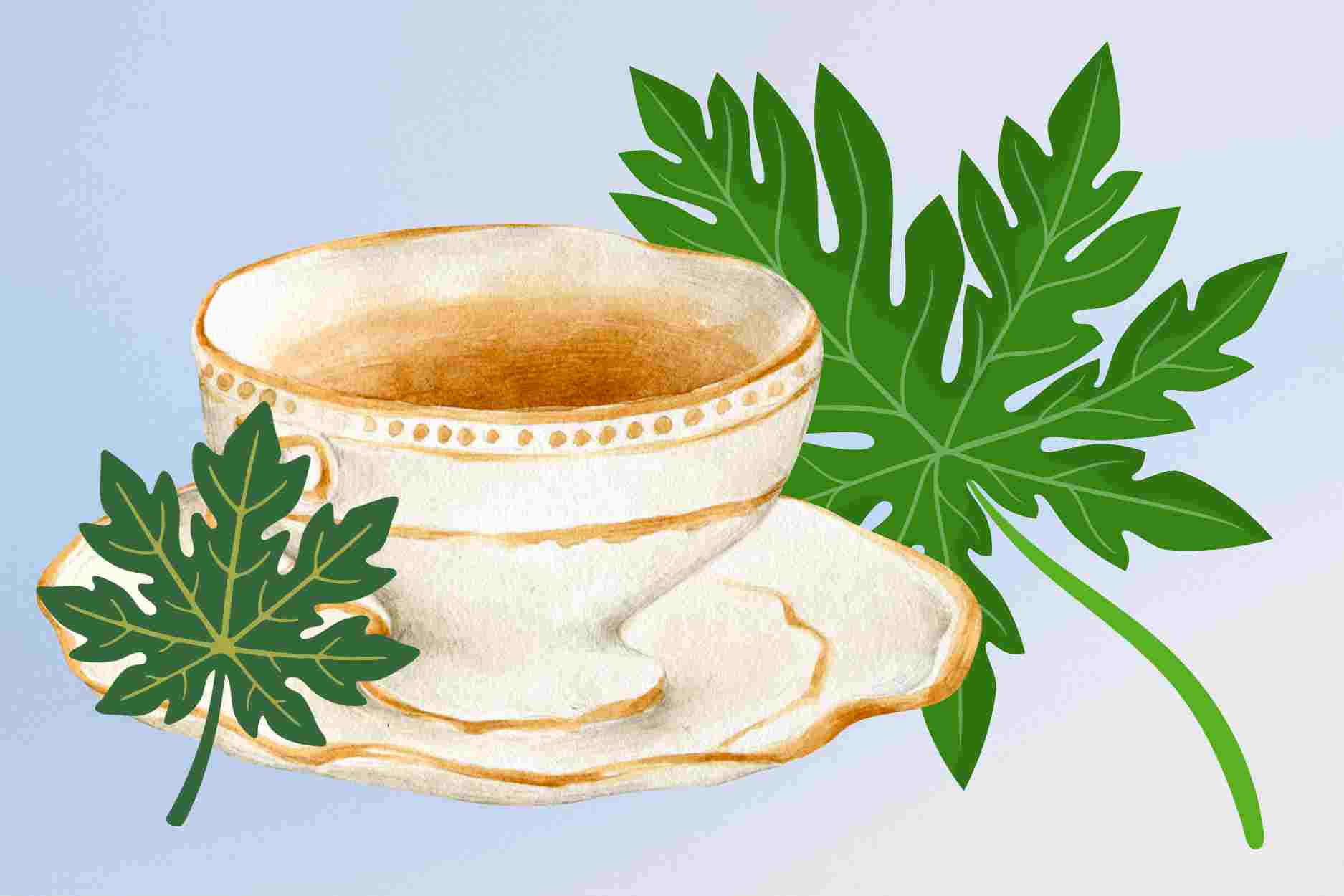 How to cook papaya leaf water and use it properly