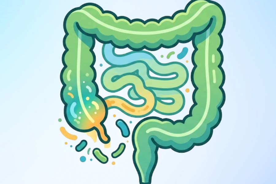 Little-known facts about the appendix and gut health