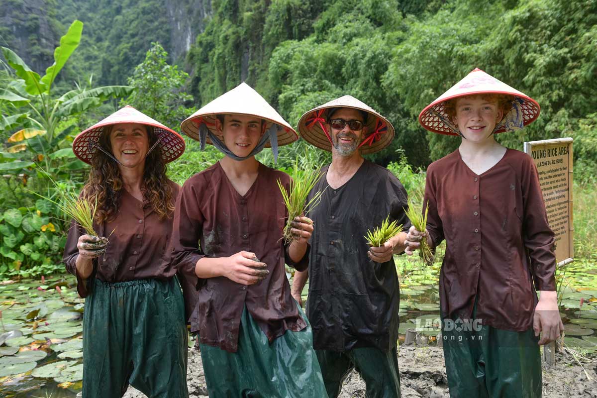 Du khách nước ngoài trải nghiệm cấy lúa. Ảnh: Hà Vi