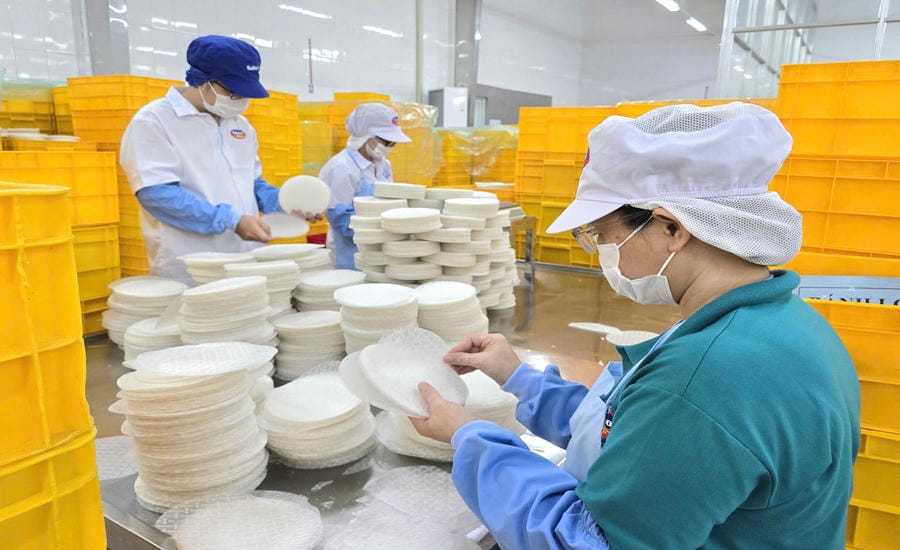 The average income of Safoco workers reaches 21.75 million VND/person/month. Photo: Nam Duong