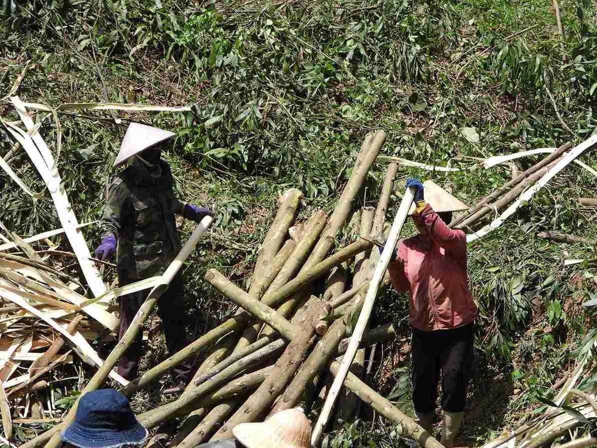 Người dân địa bàn chủ yếu mưu sinh, làm thuê kiếm sống qua ngày. Ảnh: Bảo Lâm