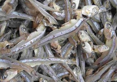 Housewives should pay attention to taking advantage of calcium supplements from small fish such as anchovies. Photo: Kieu Vu