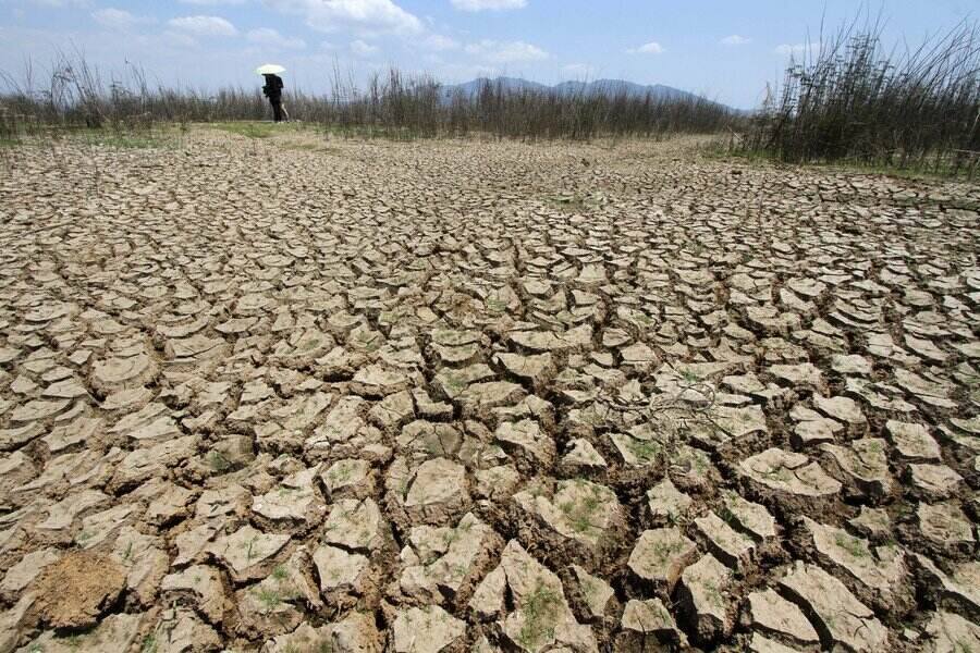 Super El Nino is forecast to last from November 2026 to January 2027. Photo: Xinhua