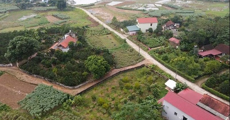 Ministry of Agriculture and Environment clarifies regulations on construction of commercial works on residential land