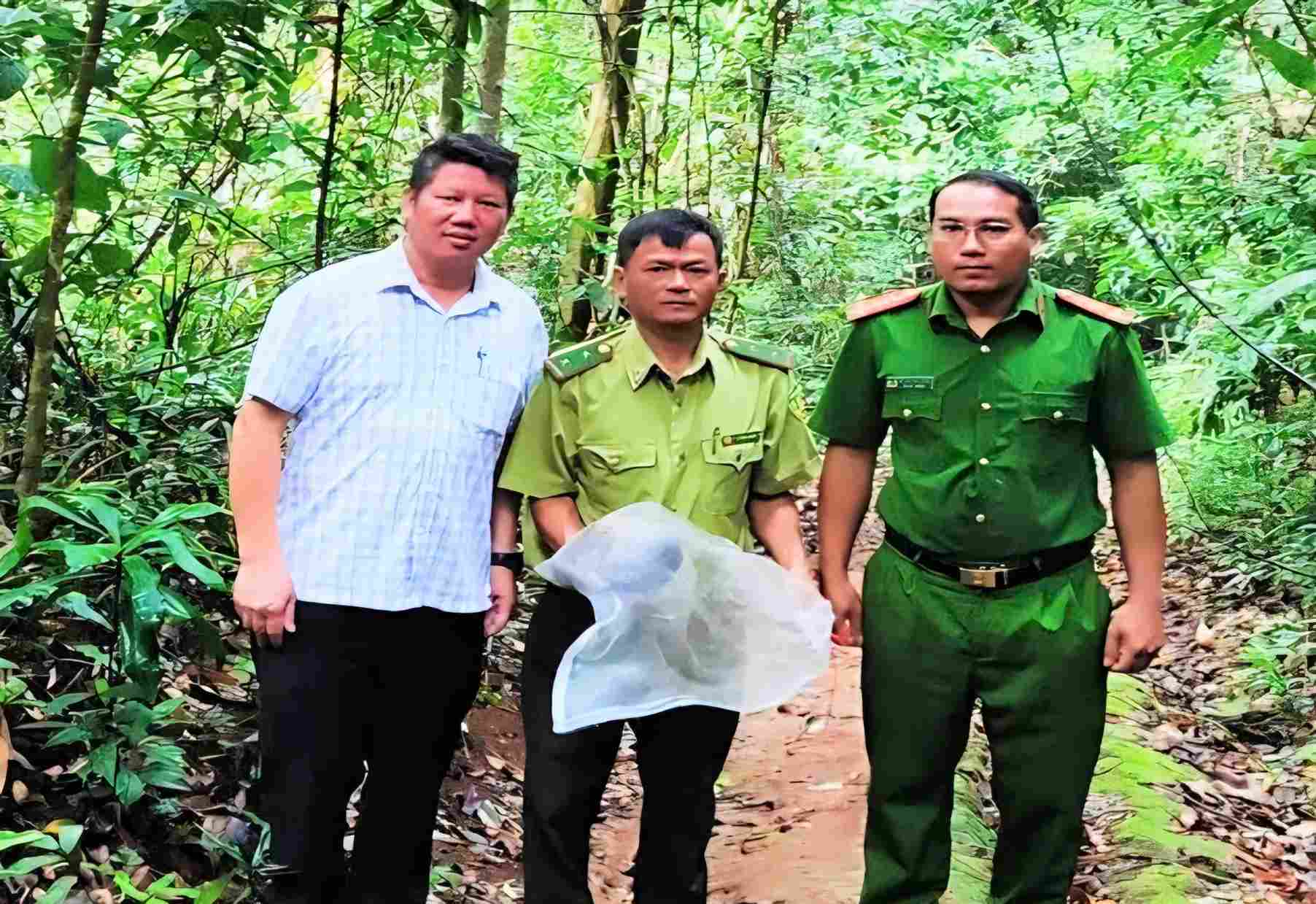 Công an xã Nhân Cơ phối hợp với lực lượng kiểm lâm tái thả cá thể tê tê về môi trường tự nhiên. Ảnh: Công an
