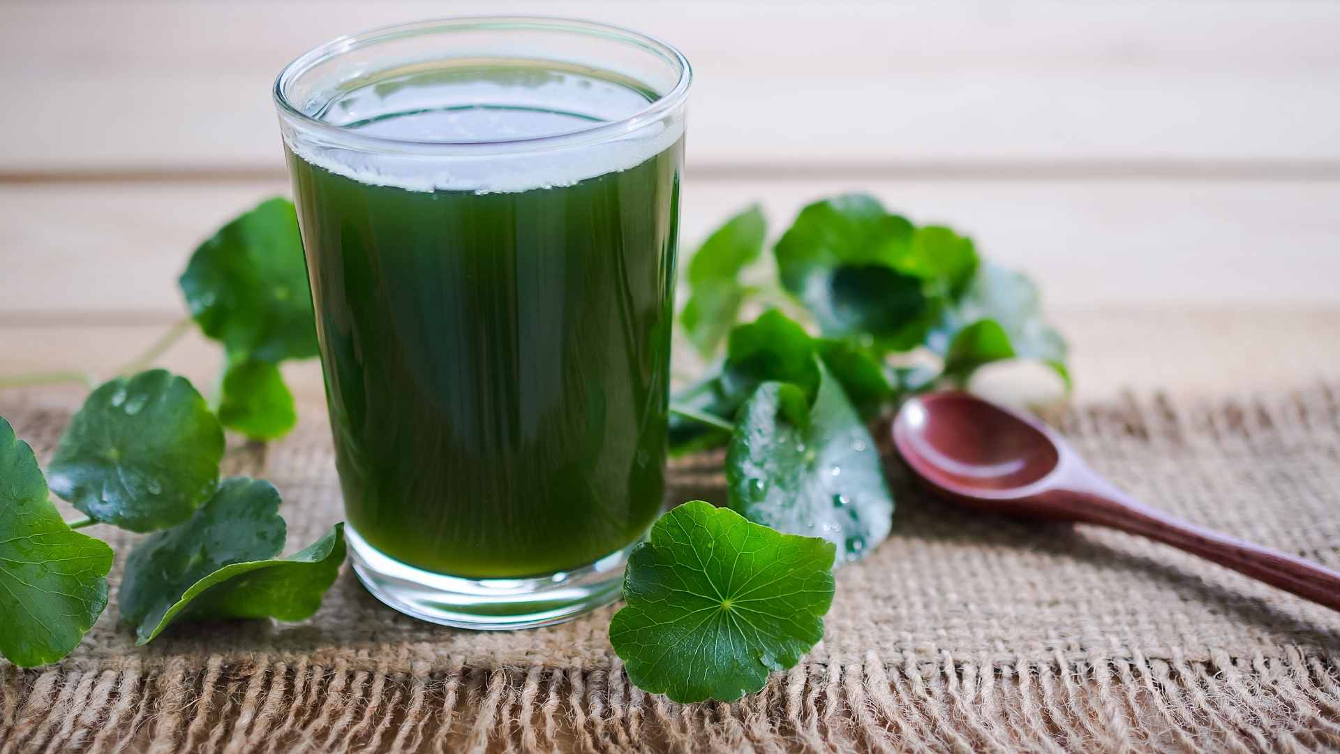 Pennywort water is good for cooling down, but not everyone should drink it