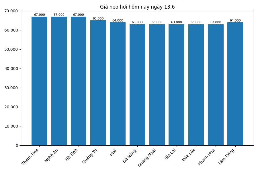 Giá heo hơi hôm nay 13.6 tại khu vực miền Trung. Đồ họa: Thùy Linh