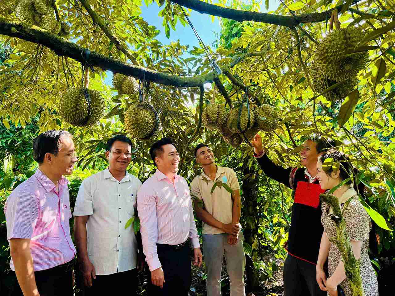 From policy credit capital, people in difficult circumstances in Dak Lak province have been able to develop sustainable livelihoods. Photo: Le Duyen