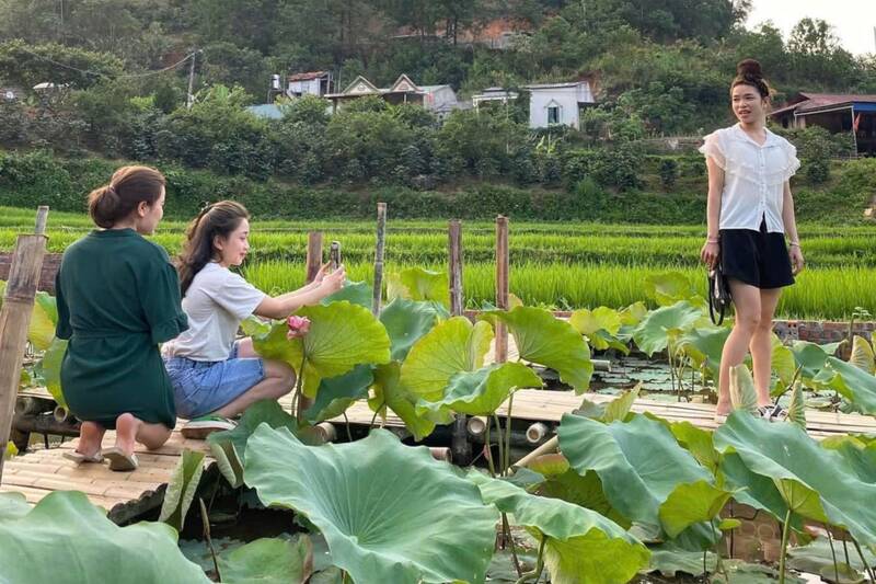 Du khách chụp ảnh check  in tai hồ sen Nà Pừn, phường Chiềng Cơi. Ảnh: Đức Nhân