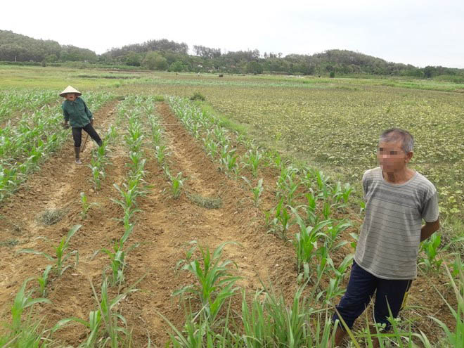 Ha Tinh Provincial People's Committee has agreed to terminate the Son Quang solar power project. This is a project that once caused public outrage due to slow compensation payments. Photo: Tran Tuan