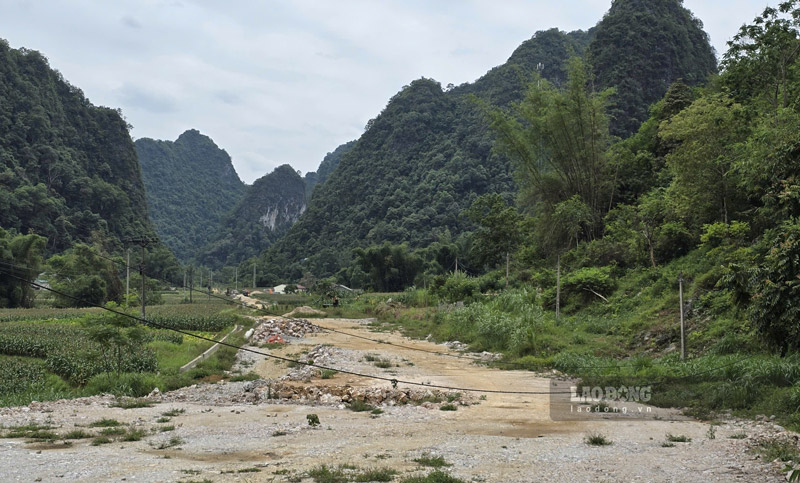 Máy móc gần như bất động vì thiếu nguồn đất đắp. Ảnh: Tân Văn