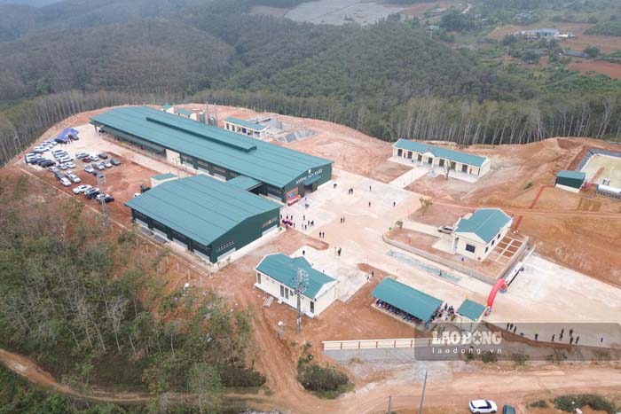 Nhà máy chế biến mủ cao su Điện Biên tại xã Thanh Nưa. Ảnh: Quang Đạt