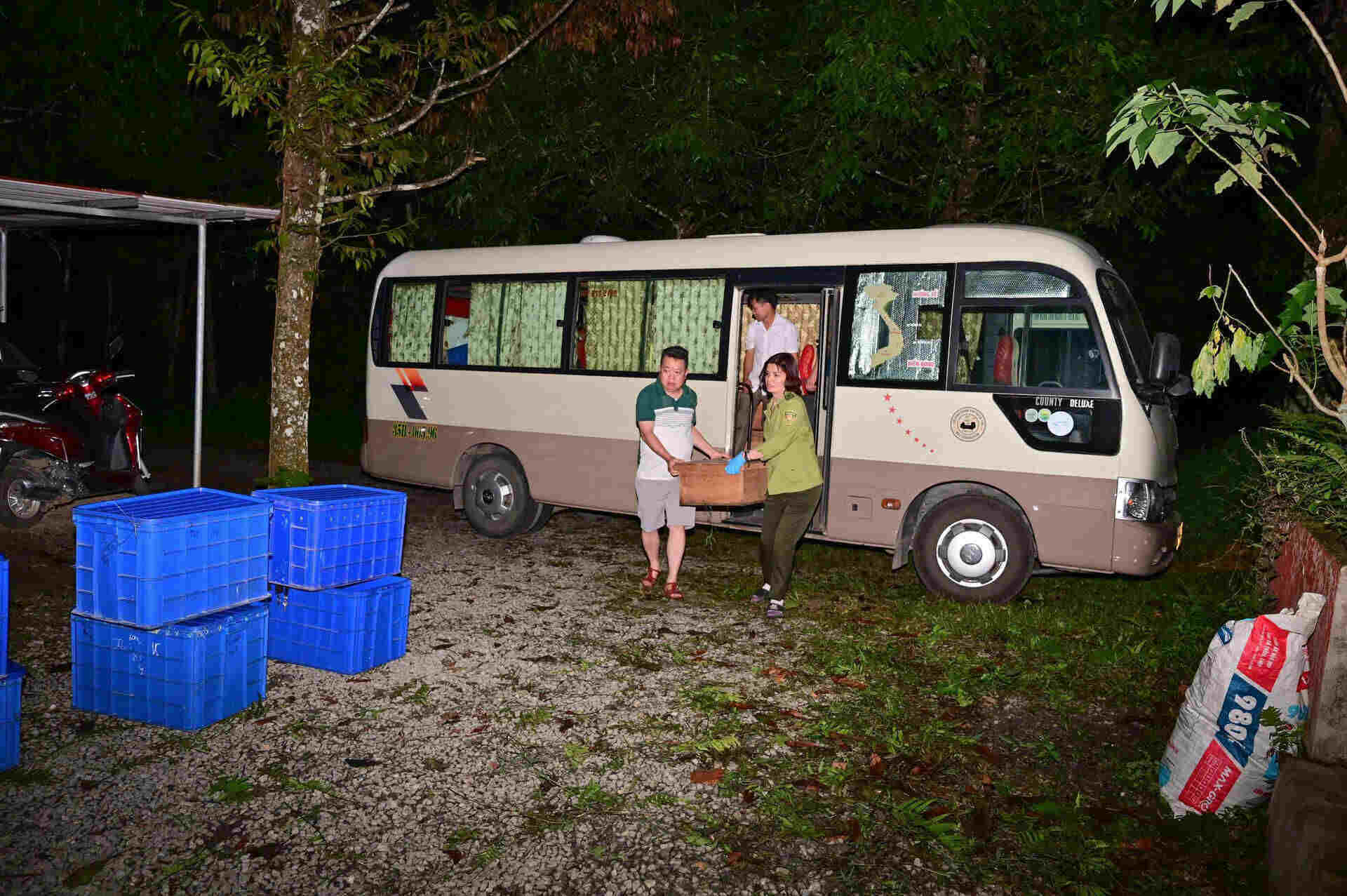 Turtles rescued from illegal trading cases are transferred to Cuc Phuong for care before being released into nature. Photo: Dieu Anh