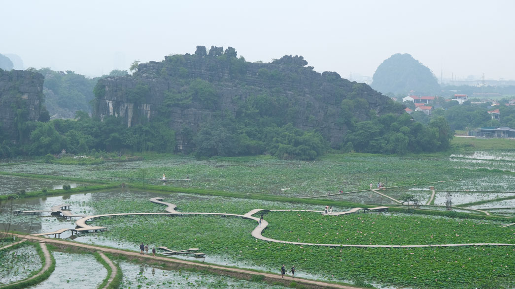 Đầm sen . Ảnh: Hân Nghiên