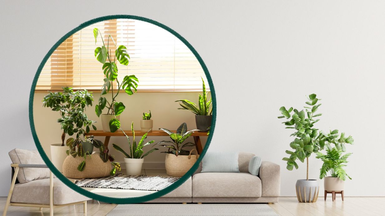 Choosing suitable green trees helps the living space become more comfortable and full of life. Graphics: Thanh Thanh