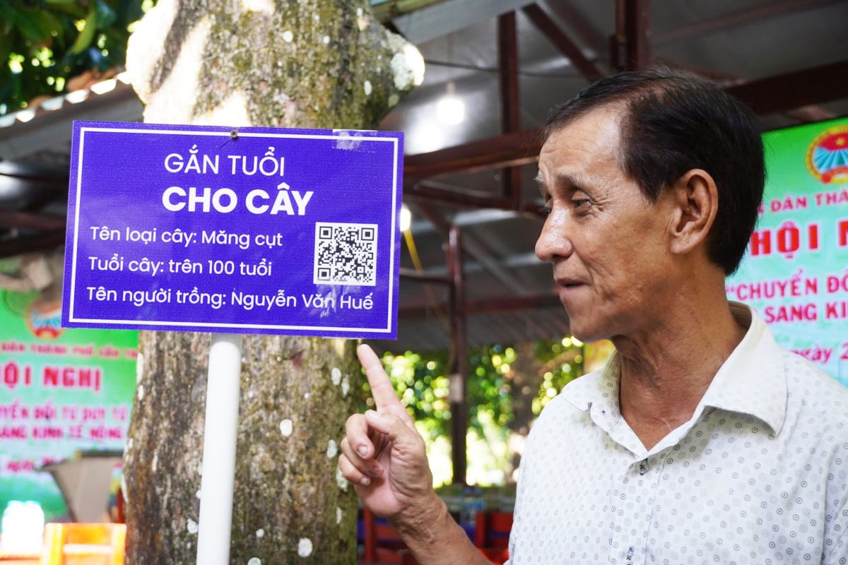 Ảnh: Tạ Quang