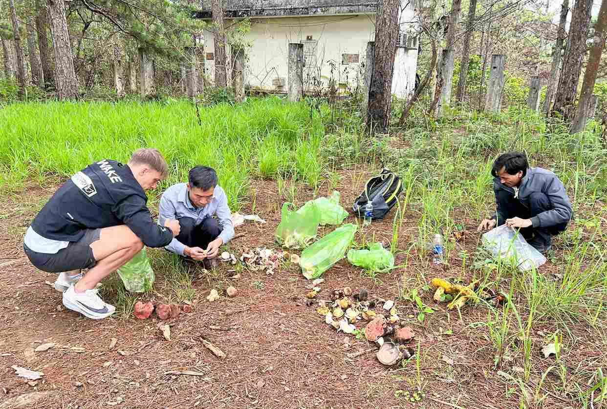 Foreign tourists participate in experiencing mushroom harvesting under the pine forest of Da Lat. Photo: Phuc Khanh