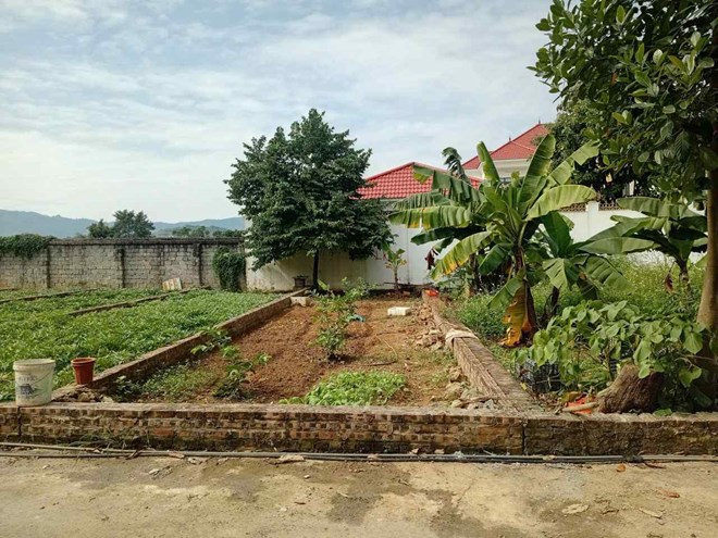 Land plot prices in many areas fall sharply. Photo: Binh Nguyen