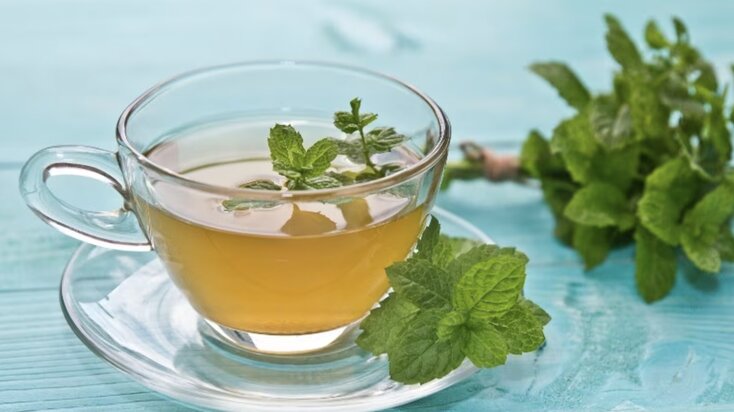 How to make ginger mint tea to help effectively detoxify the liver every morning