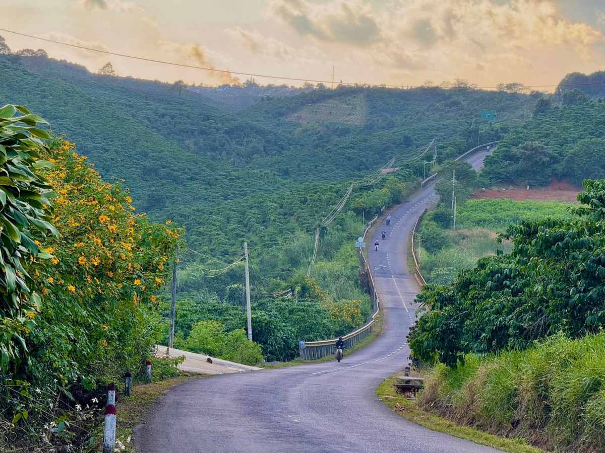 Những cung đường tuyệt đẹp tại Đà Lạt. Ảnh: Duy An