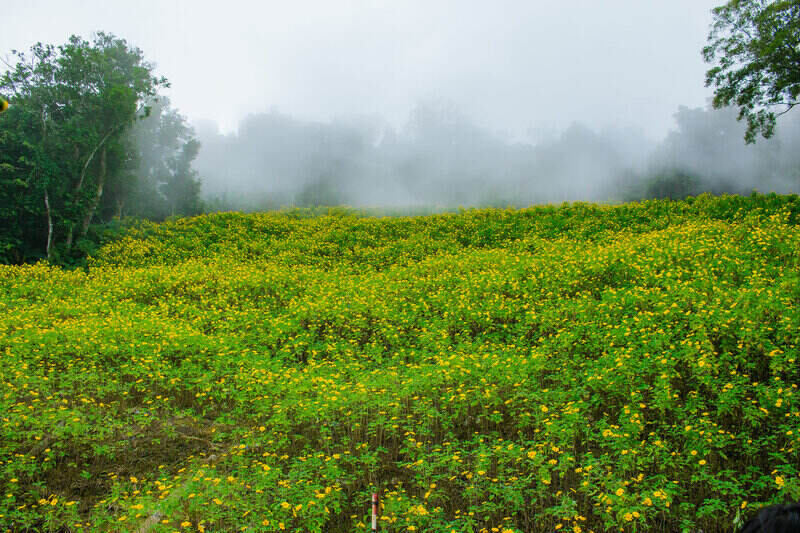 Weather forecast for the Northwest region today helps tourists refer to information before exploring and experiencing outdoor activities. Photo: Chu Danh Hieu
