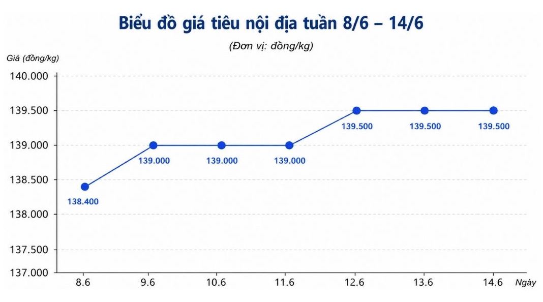 Xu hướng giá tiêu nội địa từ ngày 8.6-14.6. Ảnh: Hạ Linh 