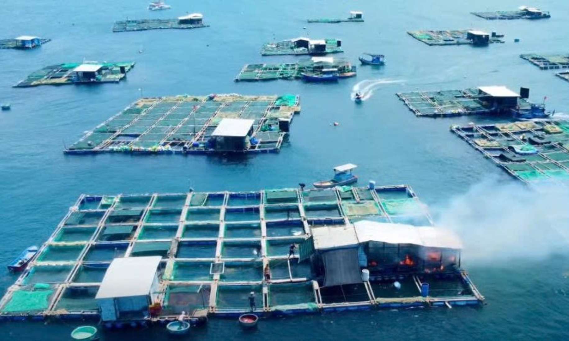 Images of the fire on the aquaculture raft in the south of Tri Nguyen island recorded by people. Photo: Nha Trang in me